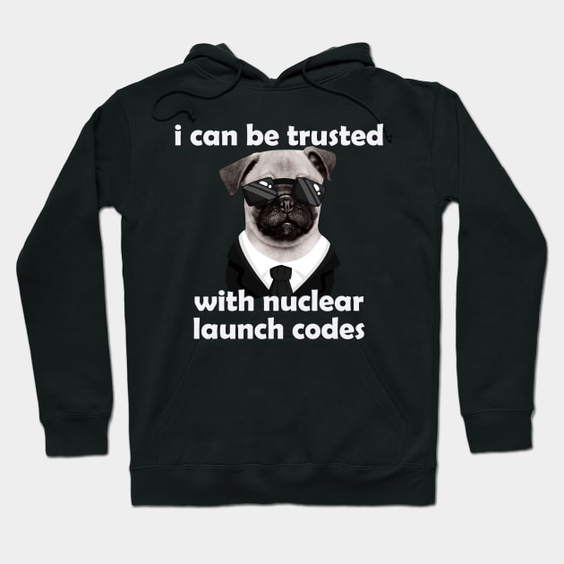 I Can-Be Trusted With Nuclear Launch Codes Funny Dog Meme Hoodie by badCasperTess